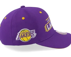 Los Angeles Lakers Team Lofi Pro Purple Adjustable - Mitchell & Ness