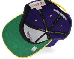 Los Angeles Lakers Wavy Pro Purple/Yellow A-frame Adjustable - Mitchell & Ness