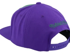 Milwaukee Bucks Retro Sport Hwc Purple Snapback - Mitchell & Ness