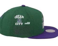 Milwaukee Bucks Team Origins Green/Purple Snapback - Mitchell & Ness