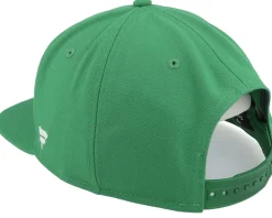 Minnesota Wild Primary Logo Green Snapback - Fanatics