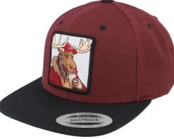 Moose Coffee Maroon/Black Snapback - Hunter