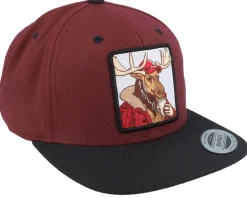 Moose Coffee Maroon/Black Snapback - Hunter