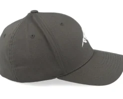 Mountain 3d White/Dark Grey Flexfit - Wild Spirit