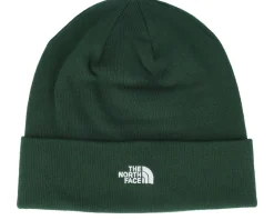 Norm Beanie Pine Needle Cuff - The North Face