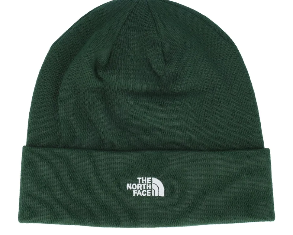 Norm Beanie Pine Needle Cuff - The North Face