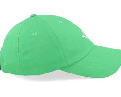 Norm Hat Optic Emerald Dad Cap - The North Face