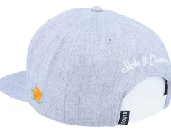 Nrlnd Cap Grey Snapback - SQRTN