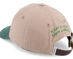 Ocnc Globe Cap Silver Mink Dad Cap - Element