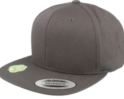 Organic Cotton Palegrey Snapback - Yupoong
