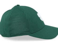 Perf 10 Forrest Green W White Clover Flexfit - Black Clover