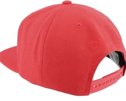 Portland Trail Blazers Monochromatic Red Snapback - Mitchell & Ness
