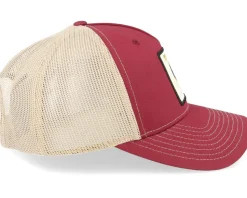 Prince Mantouhichopchf Cardinal/Tan Trucker - Public Domain