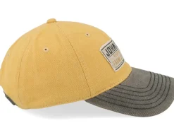 Printed Twill Patch Brown/Black Dad Cap - John Deere