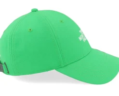Recycled 66 Classic Hat Optic Emerald Adjustable - The North Face
