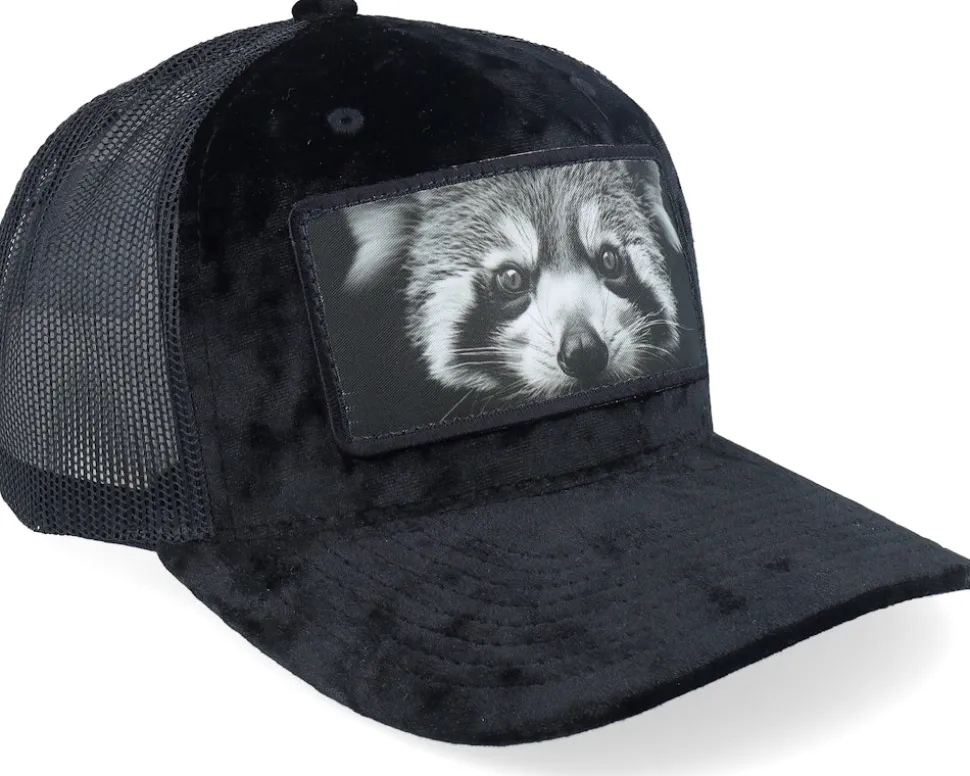 Red Panda Big Patch Velvet Black Trucker - Calza Pennello