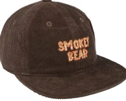 Sbxe Pool Cap Chestnut Strapback - Element
