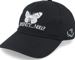 Serenity Butterflycurved Brim Caviar Dad Cap - Coney Island Picnic