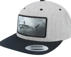 Shark Big Patch Heather Grey/Black Snapback - Calza Pennello