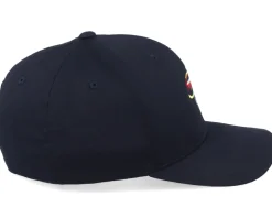 Silver Doctor Fishing Fly Black - Skillfish