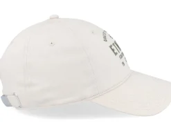 Skate Co Cement Dad Cap - Etnies