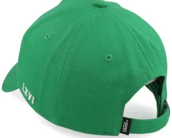 Spray On Verdant Green Adjustable - Vans