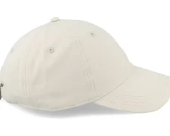 Stone Sustainable Dad Cap - Park