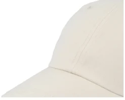 Stone Sustainable Dad Cap - Park