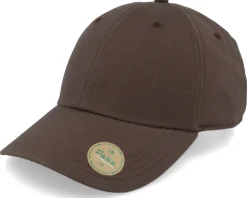 Stone Sustainable Dad Cap - Park