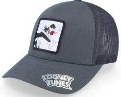 Sylvester Grey Trucker - Looney Tunes