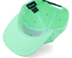 Teal Sustainable Snapback - Park