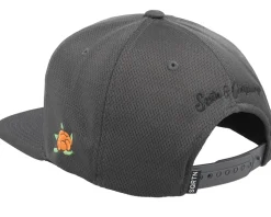 The Great Norrland Sport Cap Black Snapback - SQRTN