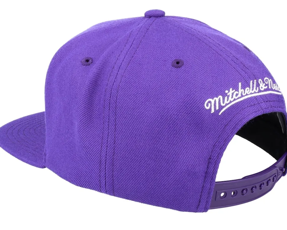 Toronto Raptors Team Ground 2.0 Purple Snapback - Mitchell & Ness