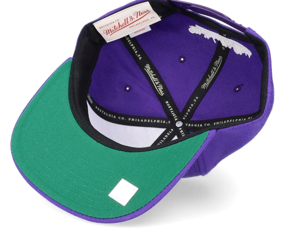 Toronto Raptors Team Ground 2.0 Purple Snapback - Mitchell & Ness