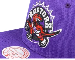 Toronto Raptors Team Ground 2.0 Purple Snapback - Mitchell & Ness