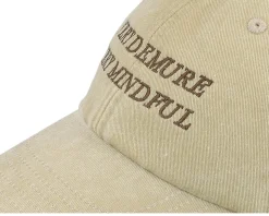 Very Demure Very Mindful Washed Stone Dad Cap - Scenes