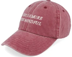 Very Demure Very Mindful Washed Stone Dad Cap - Scenes