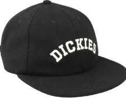 West Vale Cap Black Strapback - Dickies