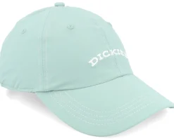 Wilsall Cap Iceberg Green Dad Cap - Dickies