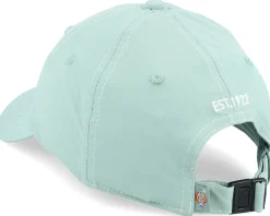 Wilsall Cap Iceberg Green Dad Cap - Dickies