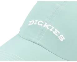 Wilsall Cap Iceberg Green Dad Cap - Dickies